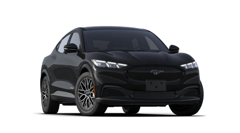 Mustang Mach-E® vehicle